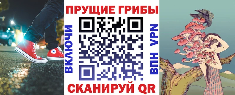 Галлюциногенные грибы Psilocybe  ОМГ ОМГ   Хилок 